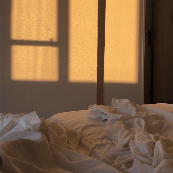 Meet your Posher, Daina - Picture 1 of 1